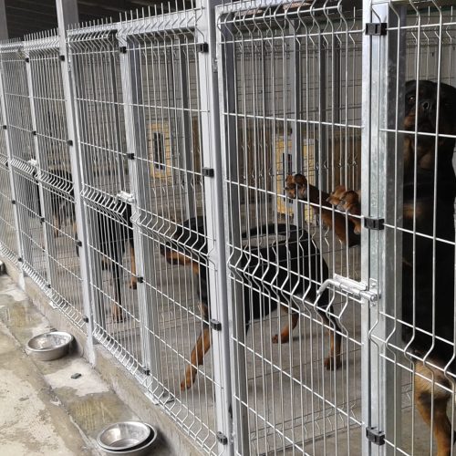 boksovi za pse od panelne ograde