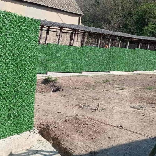 vestacka-trava-novi-sad (1)